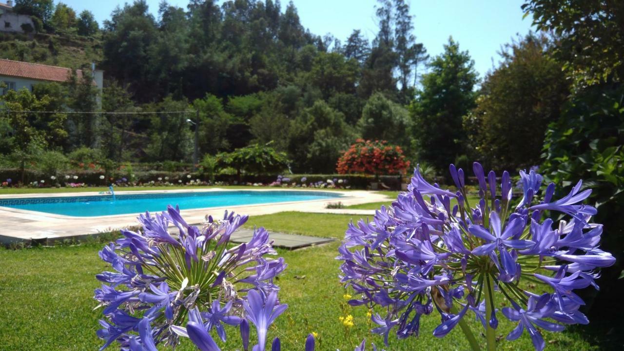 The River House - Termas Guesthouse Termas de Sao Pedro do Sul Dış mekan fotoğraf